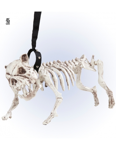 Squelette de Chien Méchant  avec Laisse : déco halloween