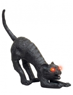 Le Chat de la Sorcière : Une décoration d'Effroi pour Votre Halloween