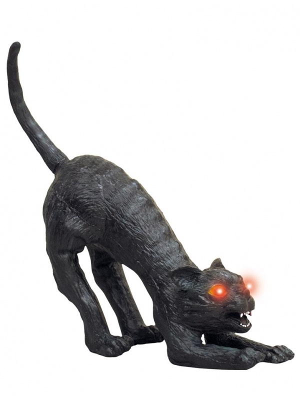 Le Chat de la Sorcière : Une décoration d'Effroi pour Votre Halloween