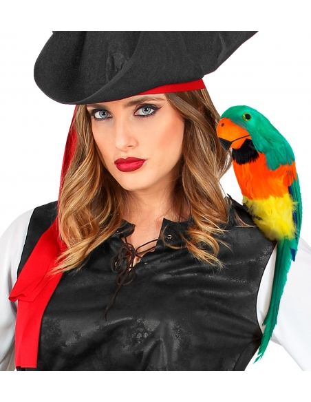 Perroquet à Plumes Vert, Orange et Jaune : Un Toucan Coloré