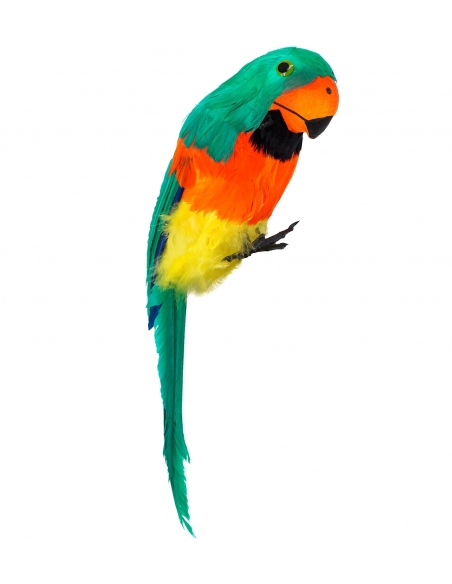 Perroquet à Plumes Vert, Orange et Jaune : Un Toucan Coloré