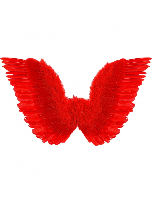 Ailes à plumes rouges 78 x 36 cm