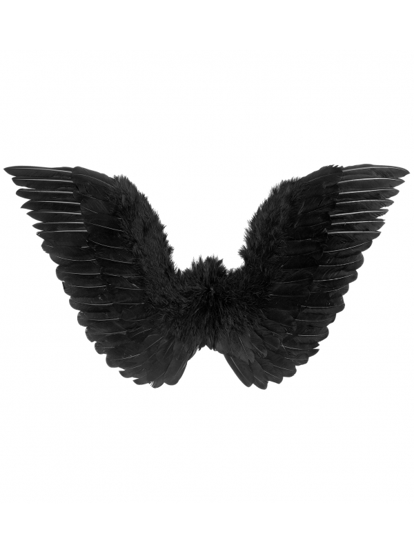 Ailes noires en plumes 78 x 36 cm : Élégance et Mystère pour Vos Fêtes