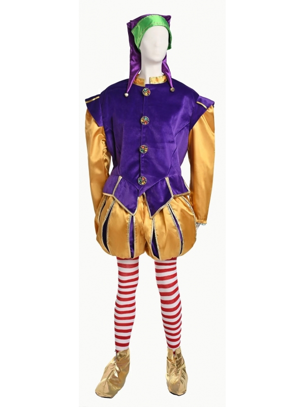 Costume Elfe Jaune-Violet Haut de Gamme : Émerveillez vos Fêtes avec une Qualité Théâtre