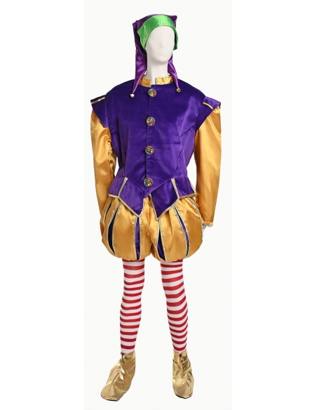 Costume Elfe Jaune-Violet Haut de Gamme : Émerveillez vos Fêtes avec une Qualité Théâtre