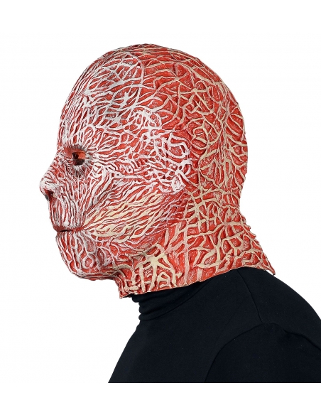 Horreur Garantie : Masque visage brulé Effrayant pour un Halloween