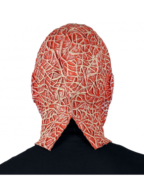 Horreur Garantie : Masque visage brulé Effrayant pour un Halloween