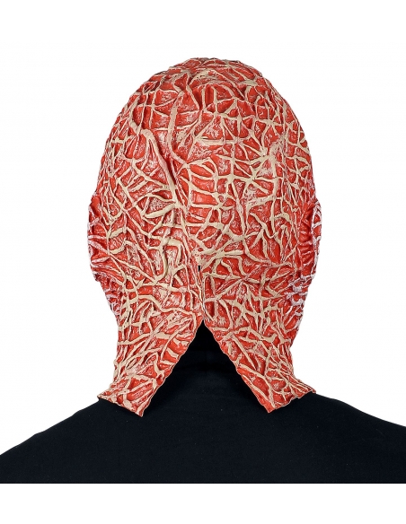 Horreur Garantie : Masque visage brulé Effrayant pour un Halloween