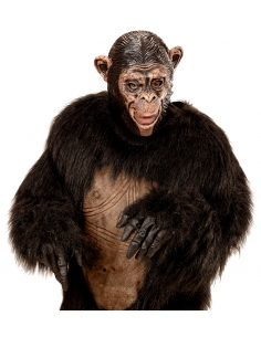 Masque de Chimpanzé en latex pour adulte 2