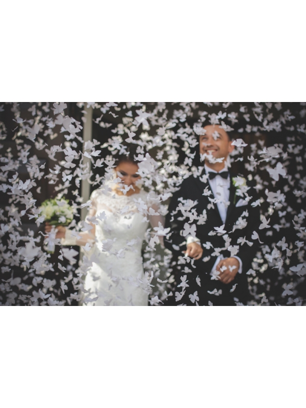 Canon à Confettis Papillons Blancs pour Mariage et Sortie d'Église
