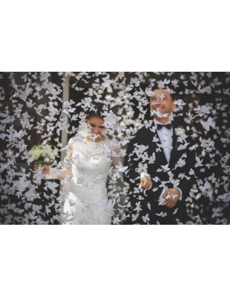 Canon à Confettis Papillons Blancs pour Mariage et Sortie d'Église