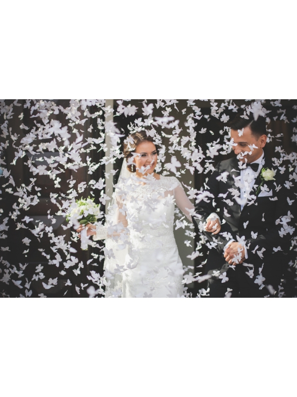Canon à Confettis Papillons Blancs pour Mariage et Sortie d'Église