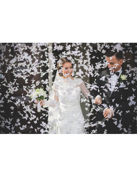 Canon à Confettis Papillons Blancs pour Mariage et Sortie d'Église