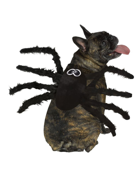 Déguisement araignée halloween pour chien