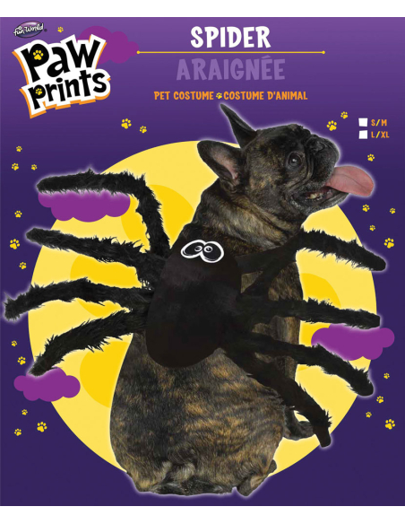 Déguisement araignée halloween pour chien