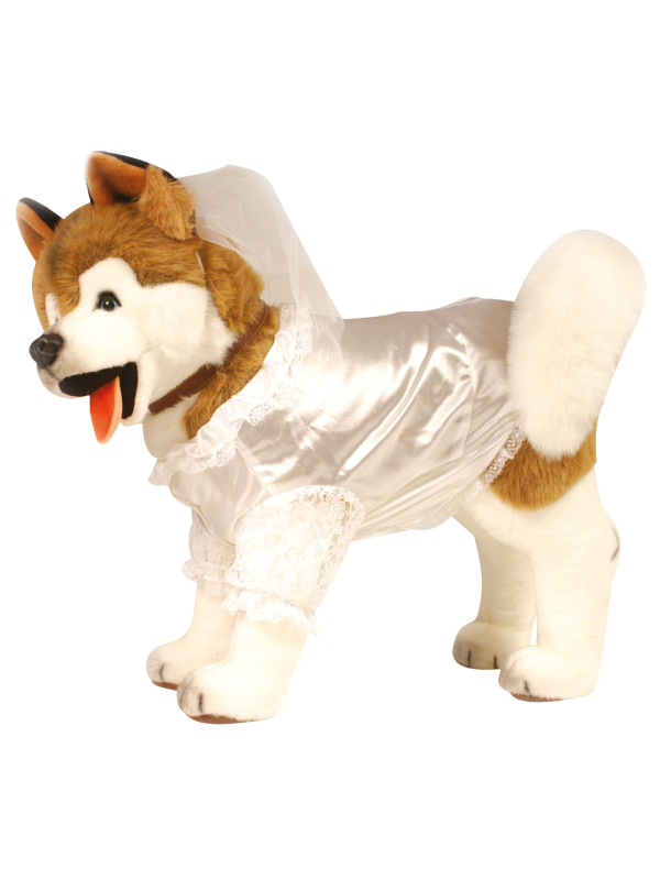 Déguisement de  mariée pour chien avec voile
