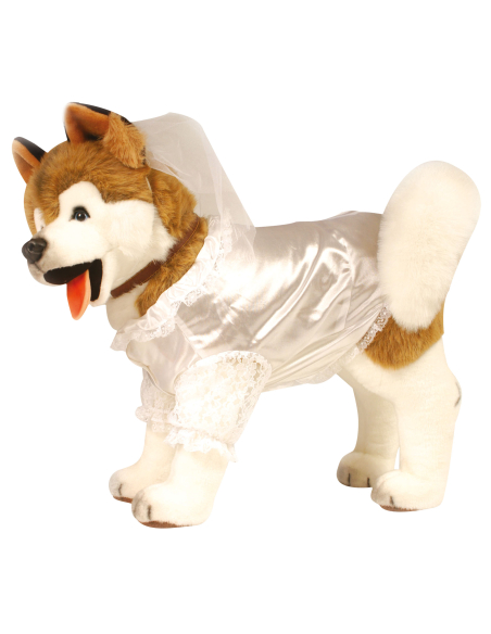 Déguisement de  mariée pour chien avec voile