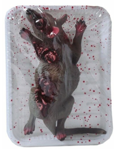 Décoration d'Halloween Effrayante : Rat Mort dans une Barquette