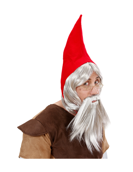 Set Gnome (chapeau, perruque et barbe)