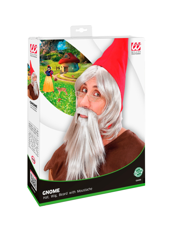 Set Gnome (chapeau, perruque et barbe)