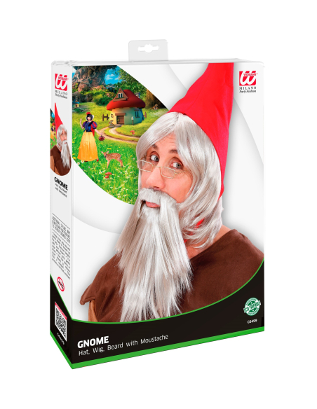 Set Gnome (chapeau, perruque et barbe)