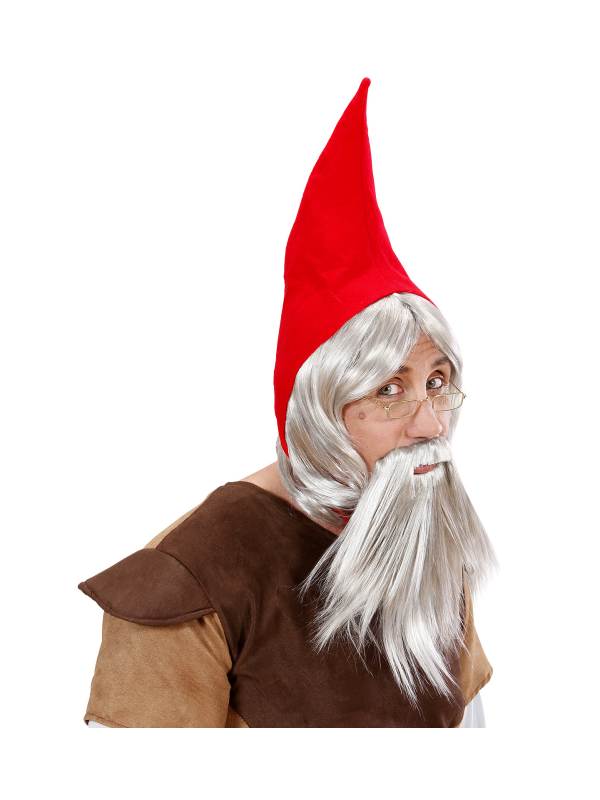 Set Gnome (chapeau, perruque et barbe)