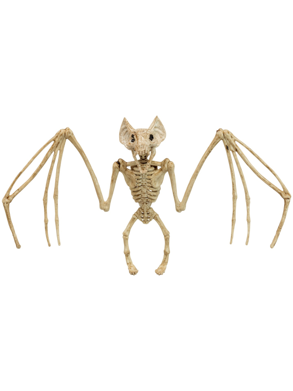 Squelette de chauve -Souris 30 cm - Décoration halloween