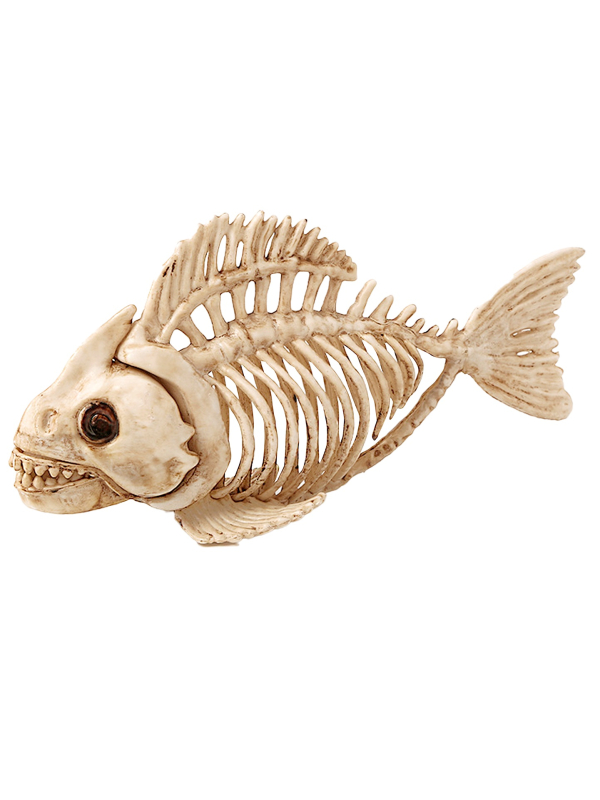 Squelette de poisson carnassier 23 cm - Décoration Halloween