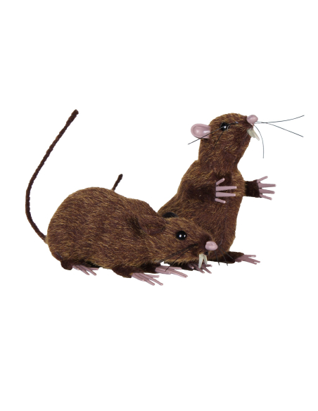 2 Rats bruns réalistes : Décoration Halloween