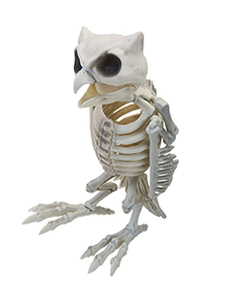 Décoration Halloween Chouette Hibou squelette 32 cm