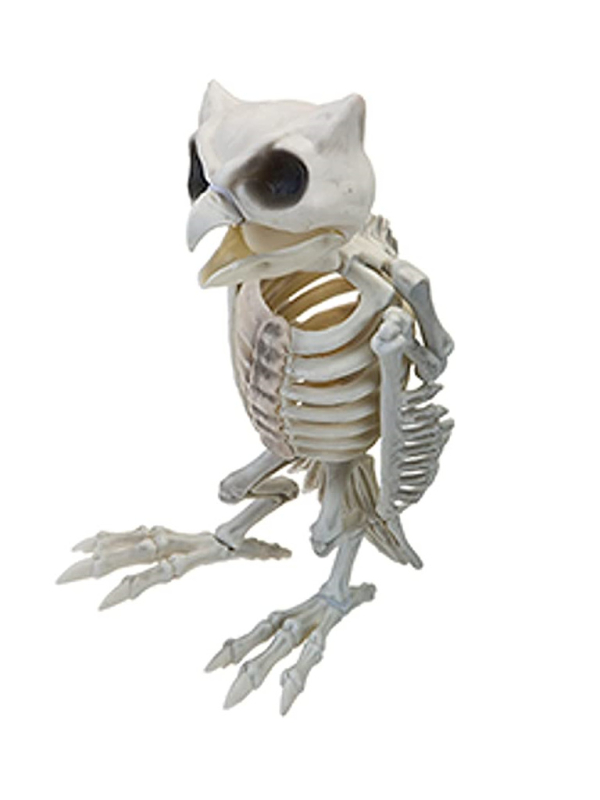 Décoration Halloween Chouette Hibou squelette 32 cm
