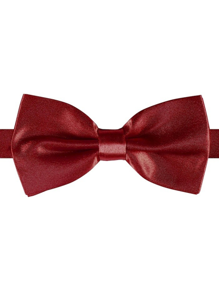 Noeud-Papillon Luxe bordeaux
