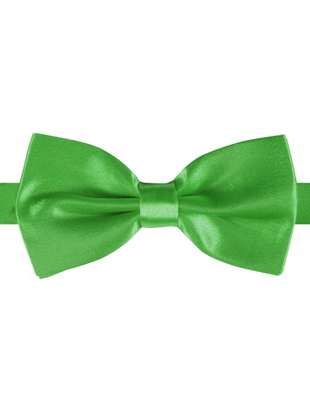 Noeud-Papillon Luxe vert