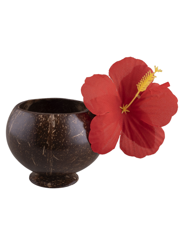 Bol noix de coco avec fleur d'hibiscus - Décoration tropicale Hawaï