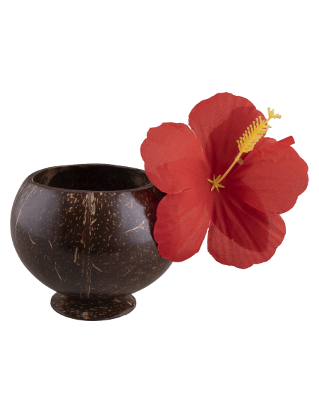 Bol noix de coco avec fleur d'hibiscus - Décoration tropicale Hawaï