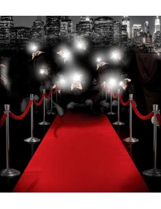 Tapis Rouge 460x60cm en Velours Ras – La Touche Élégante pour vos Événements 2