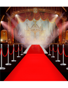 Tapis Rouge 460x60cm en Velours Ras – La Touche Élégante pour vos Événements