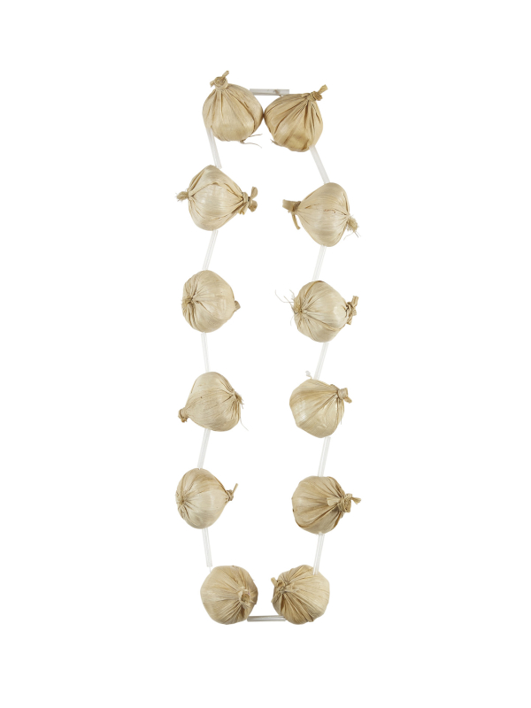 Collier Gousse d'Ail : L'Accessoire Indispensable pour Halloween et Chef Cuisinier