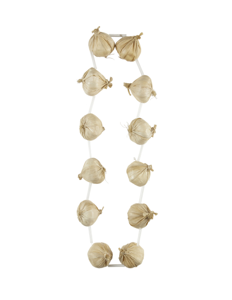 Collier Gousse d'Ail : L'Accessoire Indispensable pour Halloween et Chef Cuisinier