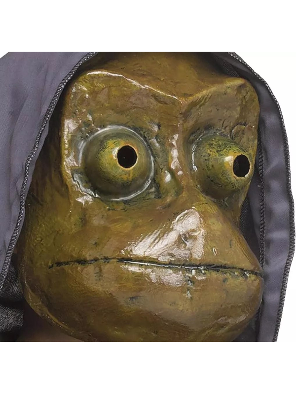 Masque de grenouille "I See You"© – Inspiré du film - Licence officielle