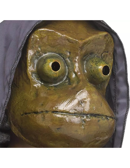 Masque de grenouille "I See You"© – Inspiré du film - Licence officielle