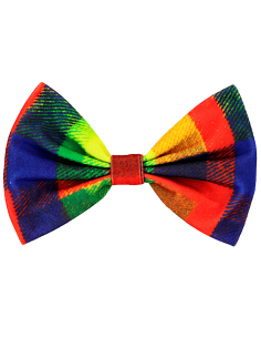 Noeud-Papillon Multicolore pour Clown : Cirque, Carnaval