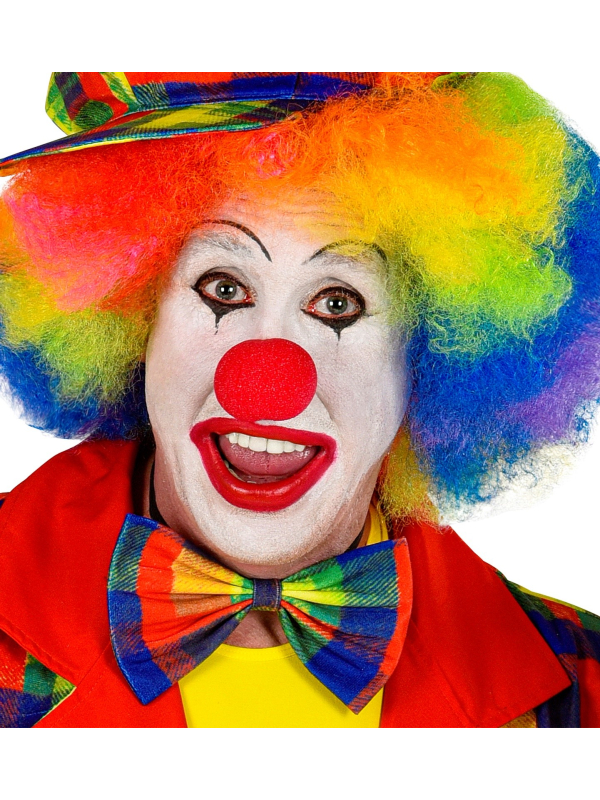 Noeud-Papillon Multicolore pour Clown : Cirque, Carnaval