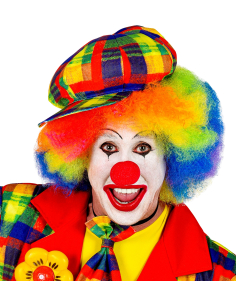 Casquette de clown adulte multicolore : Cirque, Carnaval, Animation 2