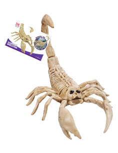 Squelette de scorpion 30 cm - décoration halloween 2