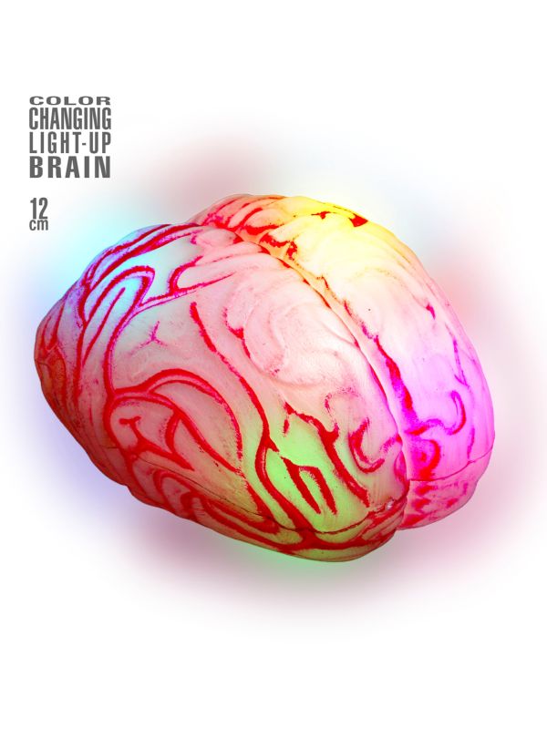 Cerveau lumineux changeant de couleur. Accessoire Halloween