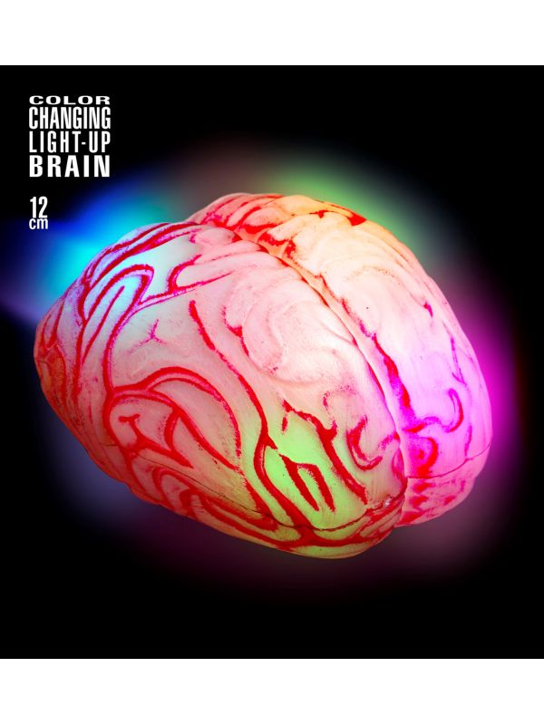 Cerveau lumineux changeant de couleur. Accessoire Halloween