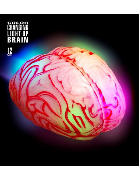 Cerveau lumineux changeant de couleur. Accessoire Halloween