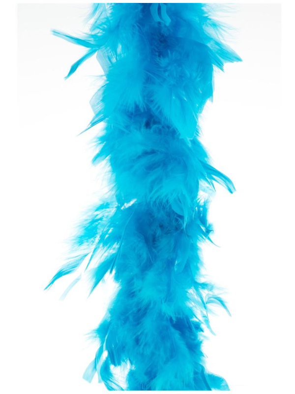 Boa plumes 2 m - 45 g pas cher turquoise