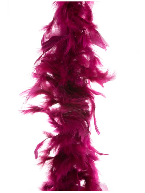 Boa plumes 2 m - 45 g pas cher bordeaux